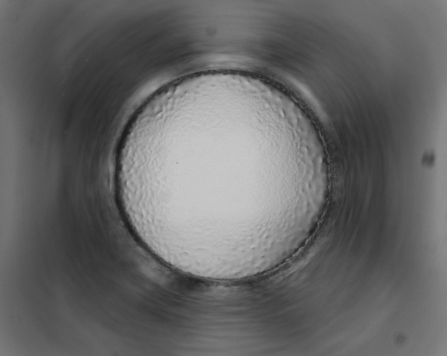 X0000101181419200807250929