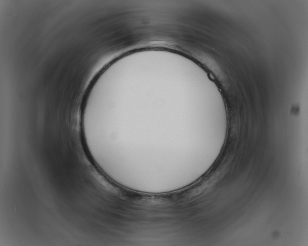 X0000101181420200807250929