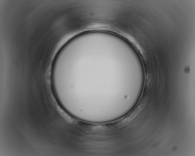 X0000101181421200807250929