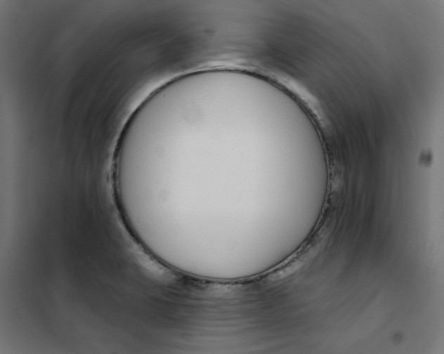 X0000101181423200807250929