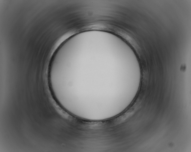 X0000101181426200807250929