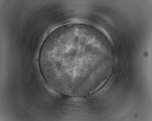 X0000101181427200807250929