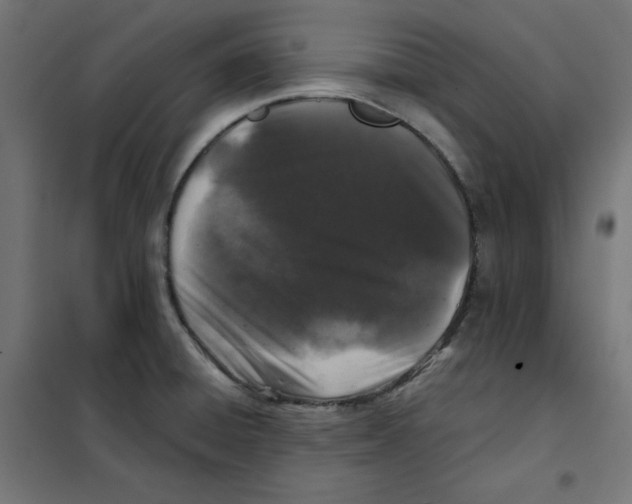 X0000101181428200807250929