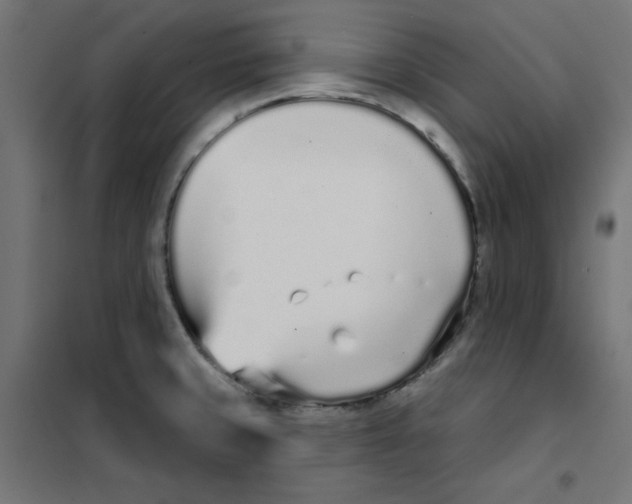 X0000101181429200807250929