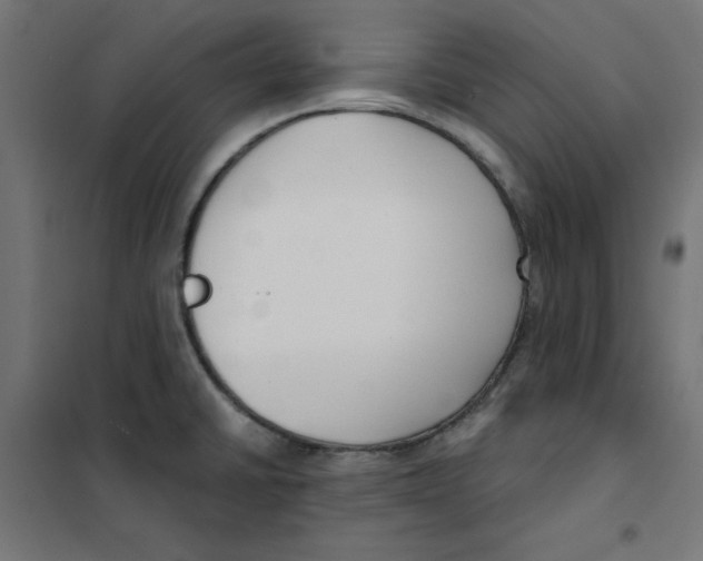 X0000101181430200807250929