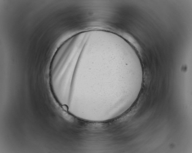 X0000101181431200807250929