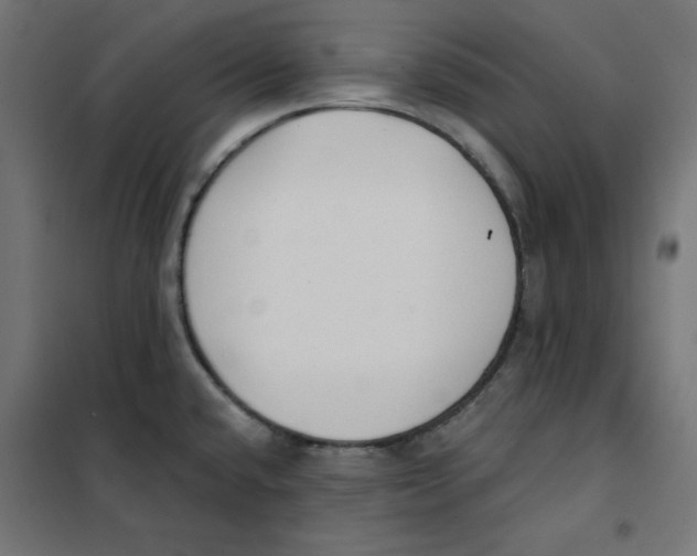 X0000101181432200807250929