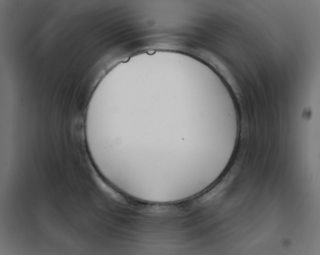 X0000101181433200807250929