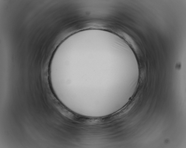 X0000101181435200807250929