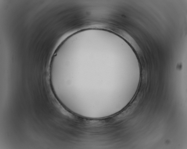 X0000101181436200807250929