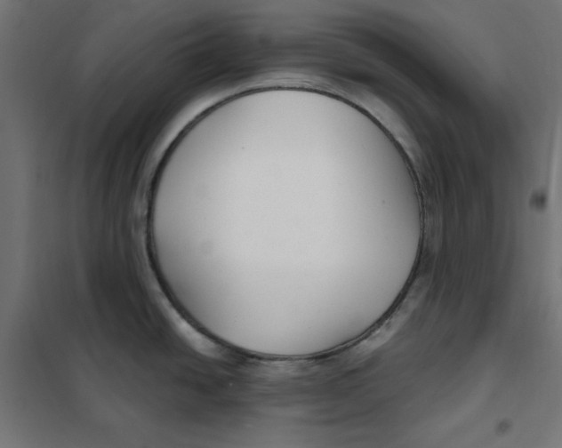 X0000101181438200807250929