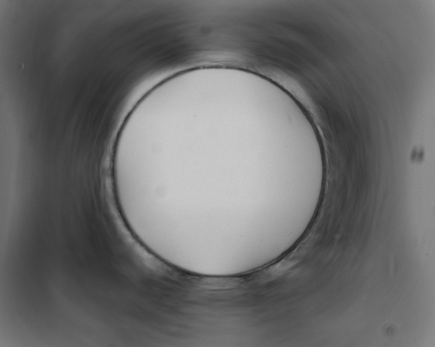 X0000101181440200807250929