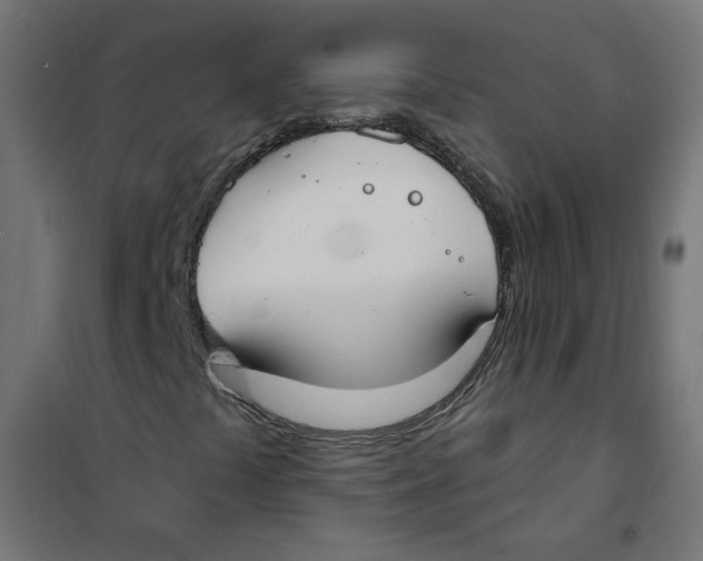 X0000101181441200807250929