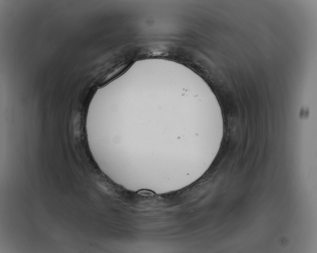 X0000101181442200807250929