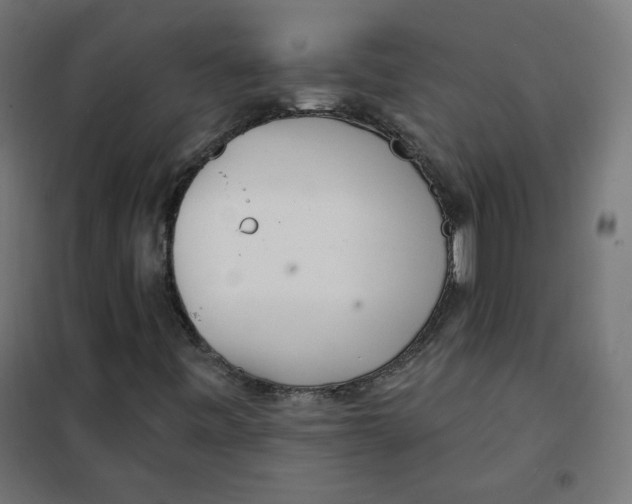 X0000101181443200807250929