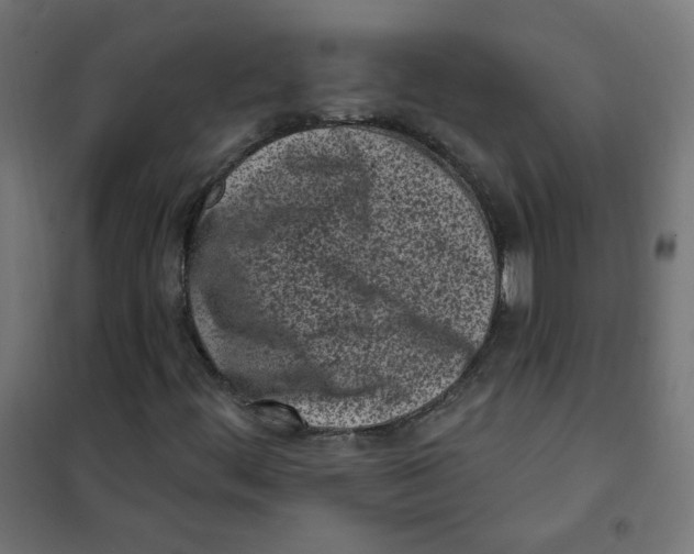 X0000101181444200807250929