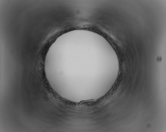 X0000101181447200807250929