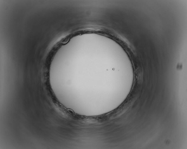 X0000101181448200807250929