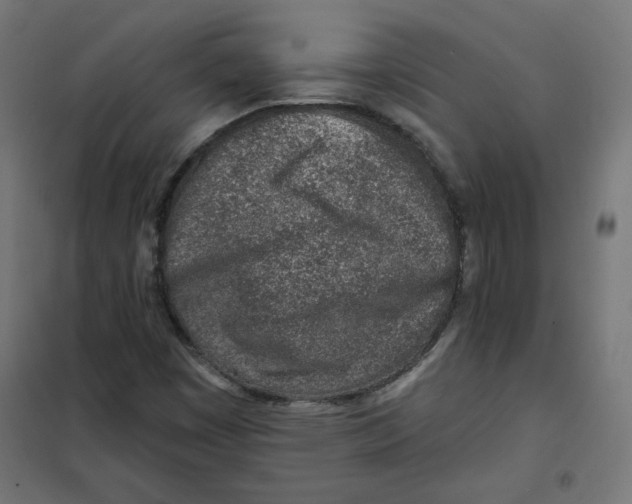 X0000101181449200807250929