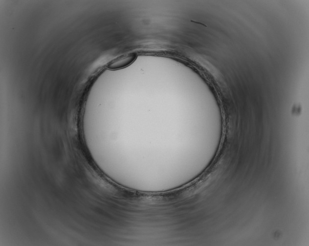 X0000101181451200807250929