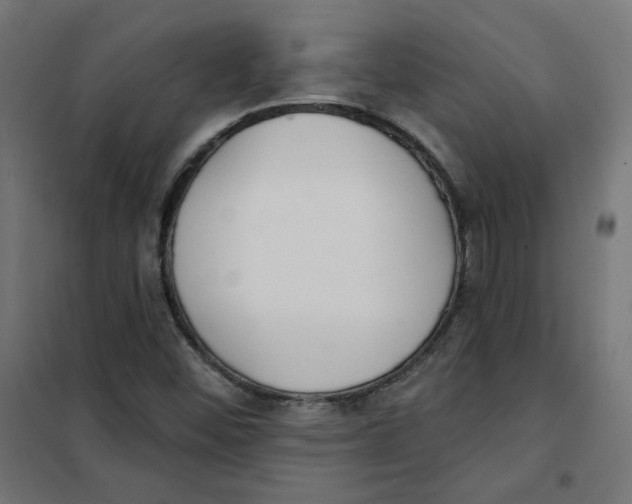 X0000101181452200807250929