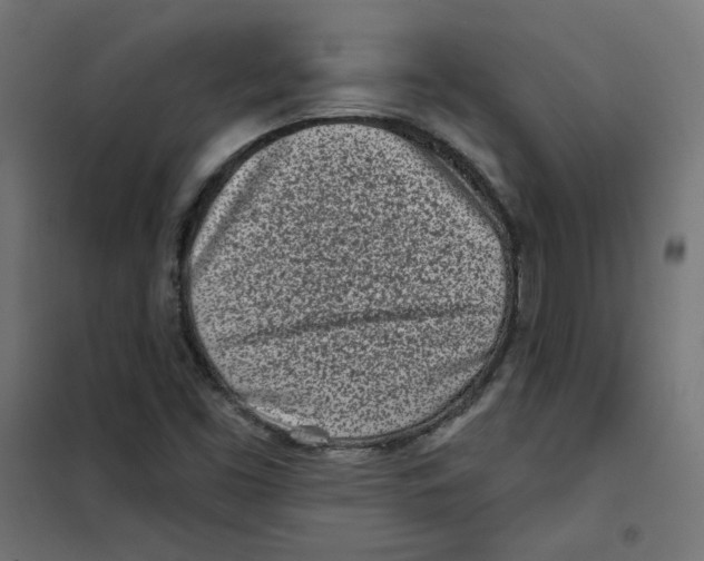 X0000101181453200807250929