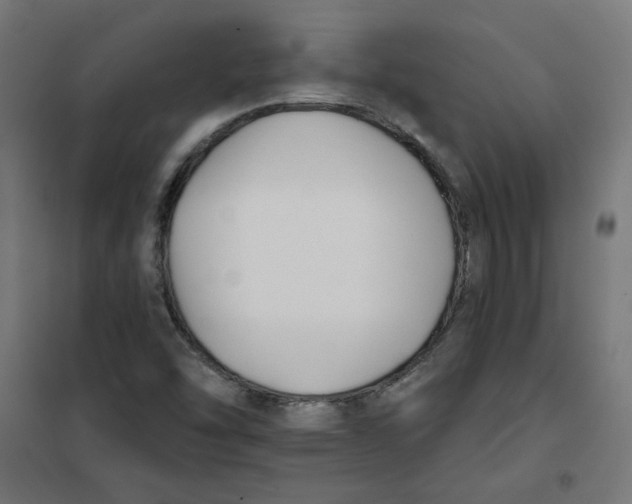 X0000101181454200807250929