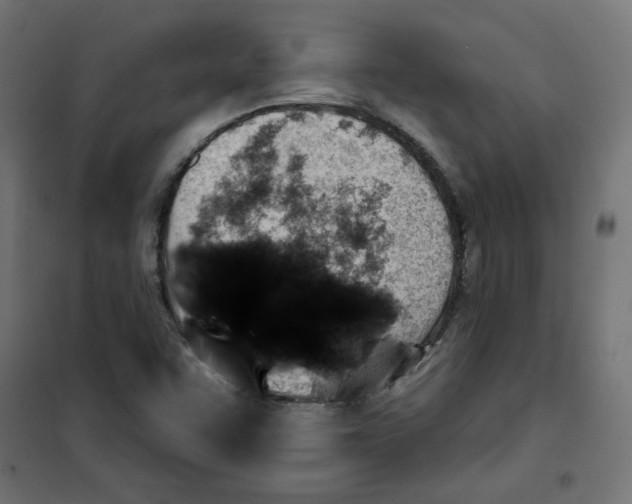 X0000101181455200807250929