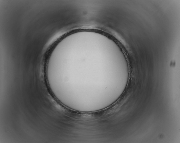 X0000101181456200807250929