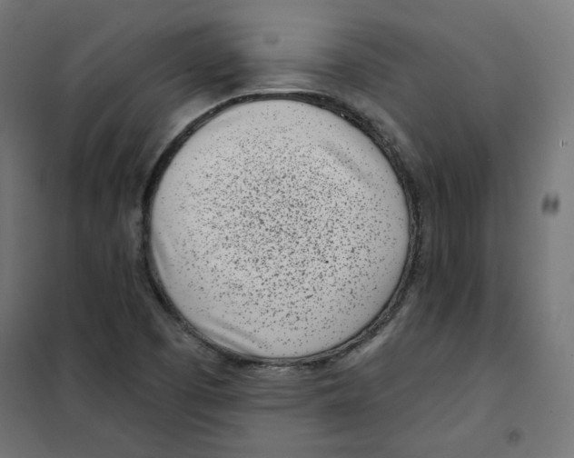 X0000101181457200807250929