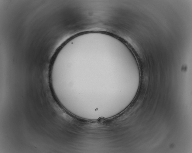 X0000101181460200807250929