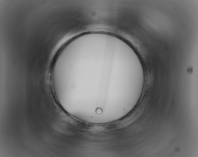 X0000101181462200807250928