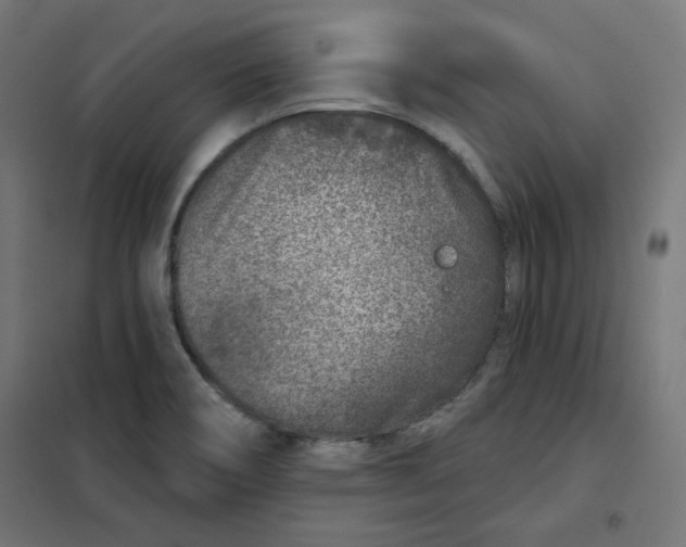 X0000101181466200807250928