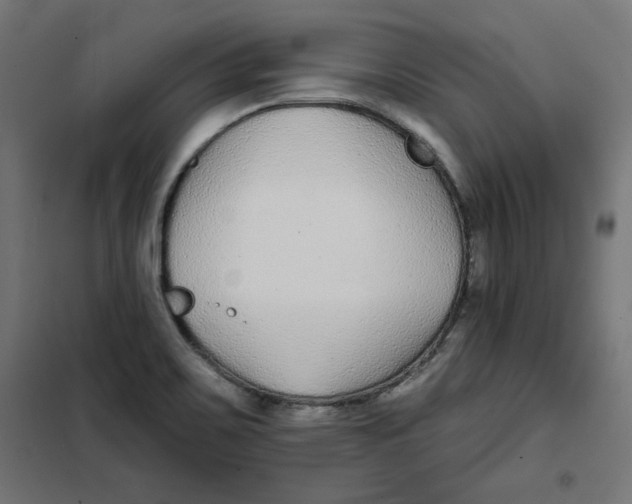 X0000101181467200807250928