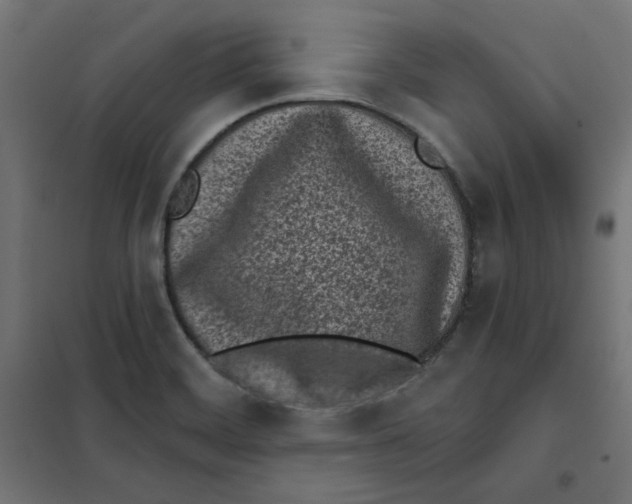 X0000101181468200807250928