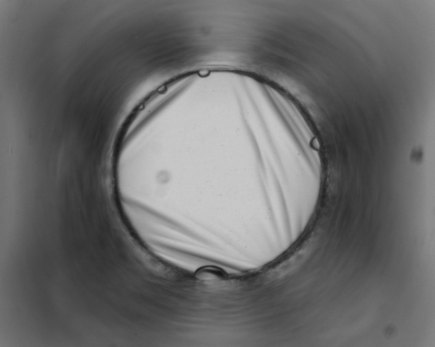 X0000101181469200807250928