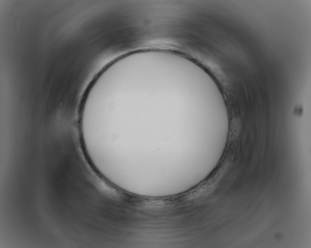 X0000101181470200807250928