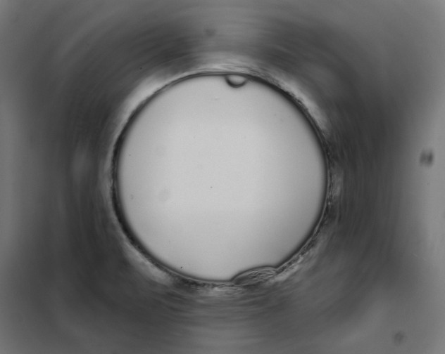 X0000101181471200807250928