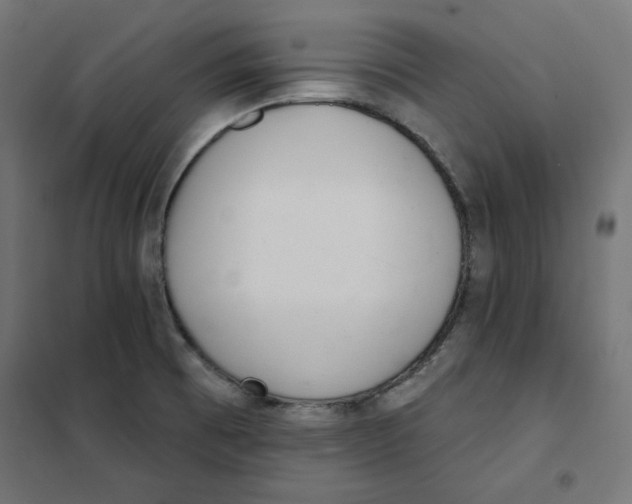 X0000101181473200807250928