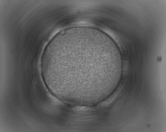 X0000101181474200807250928