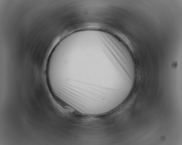 X0000101181475200807250928