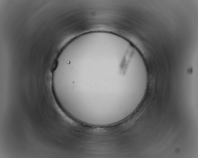 X0000101181476200807250928