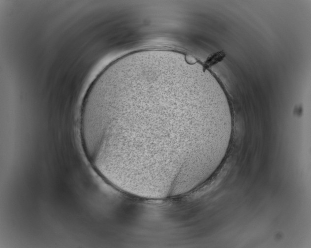 X0000101181478200807250928