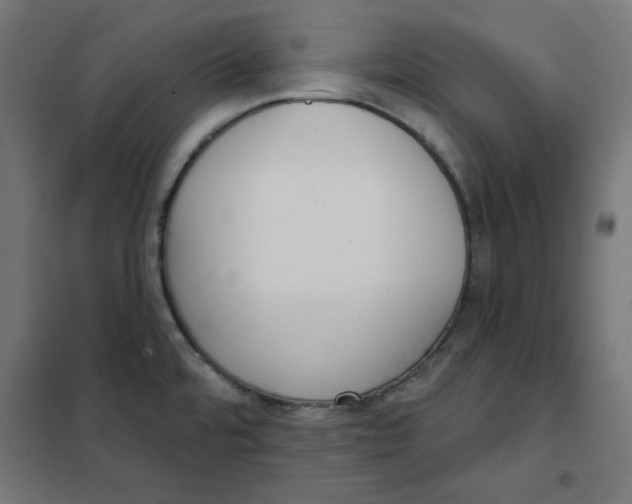 X0000101181480200807250928