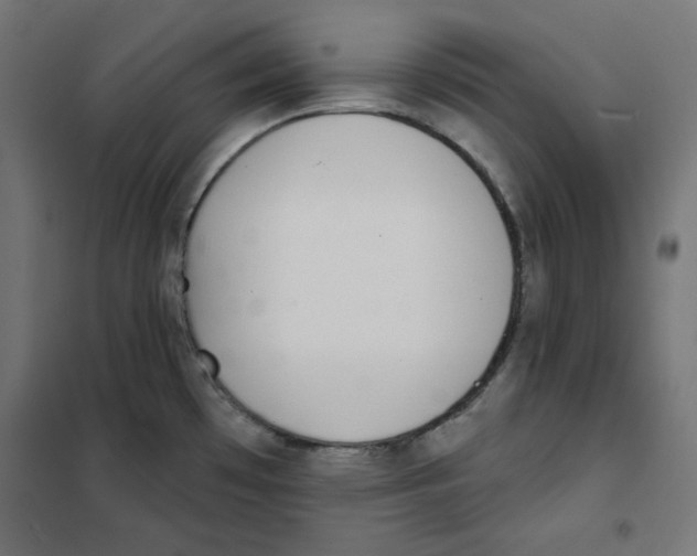 X0000101181481200807250928