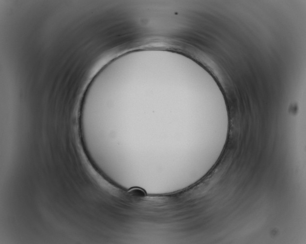 X0000101181483200807250928