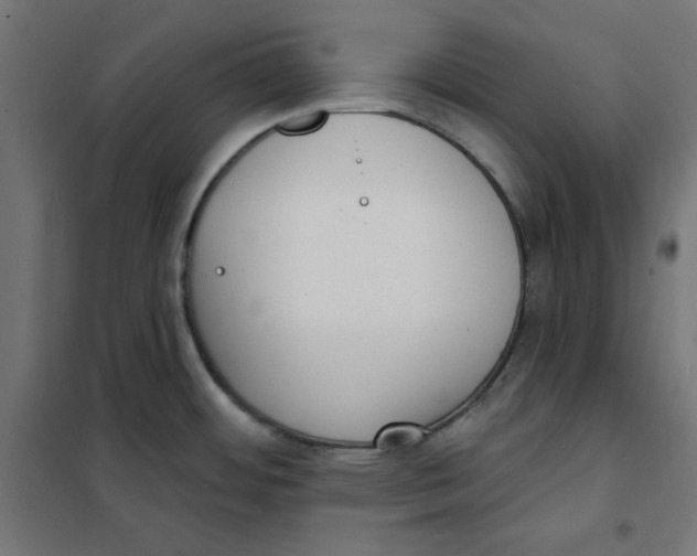 X0000101181484200807250928