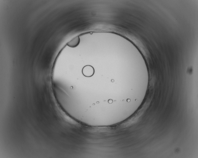 X0000101181486200807250928