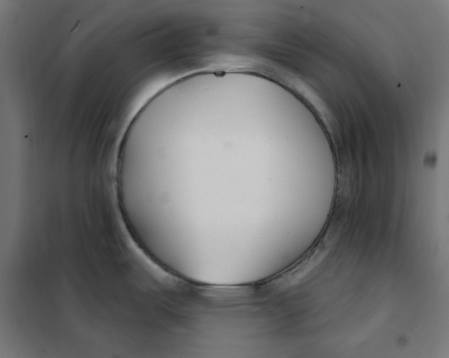 X0000101181487200807250928