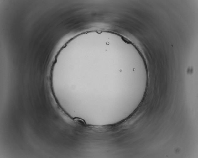 X0000101181488200807250928